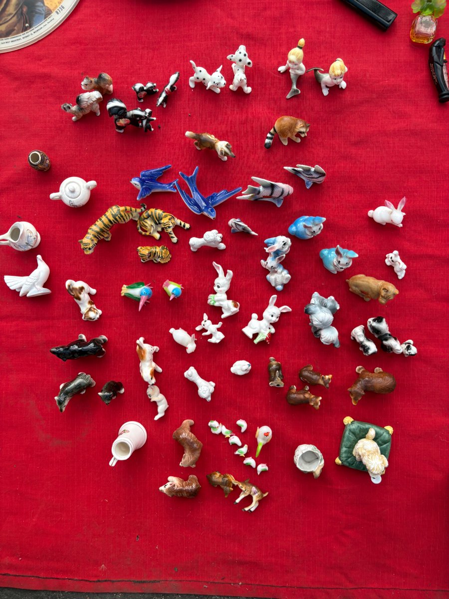 Busco amistad sincera que quiera ir a chacharear conmigo