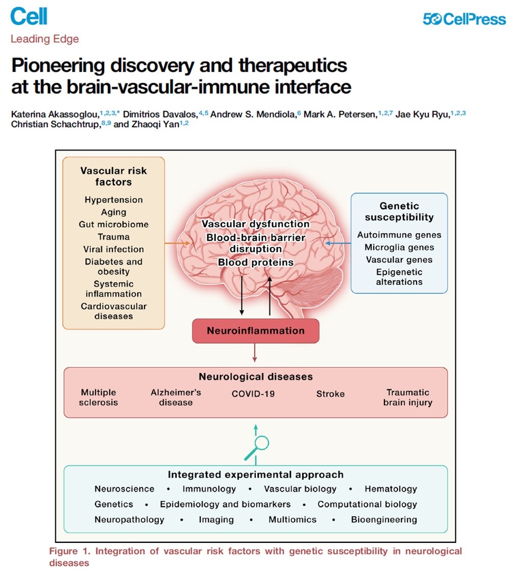 If you are not closely following the recent discoveries, it is hard to understand how neuroscientists interpret SARSCoV2 damage to the brain. The figure below summarizes it well, it is a neurological disease. And we need help from other fields to understand it fully. #NeuroCovid