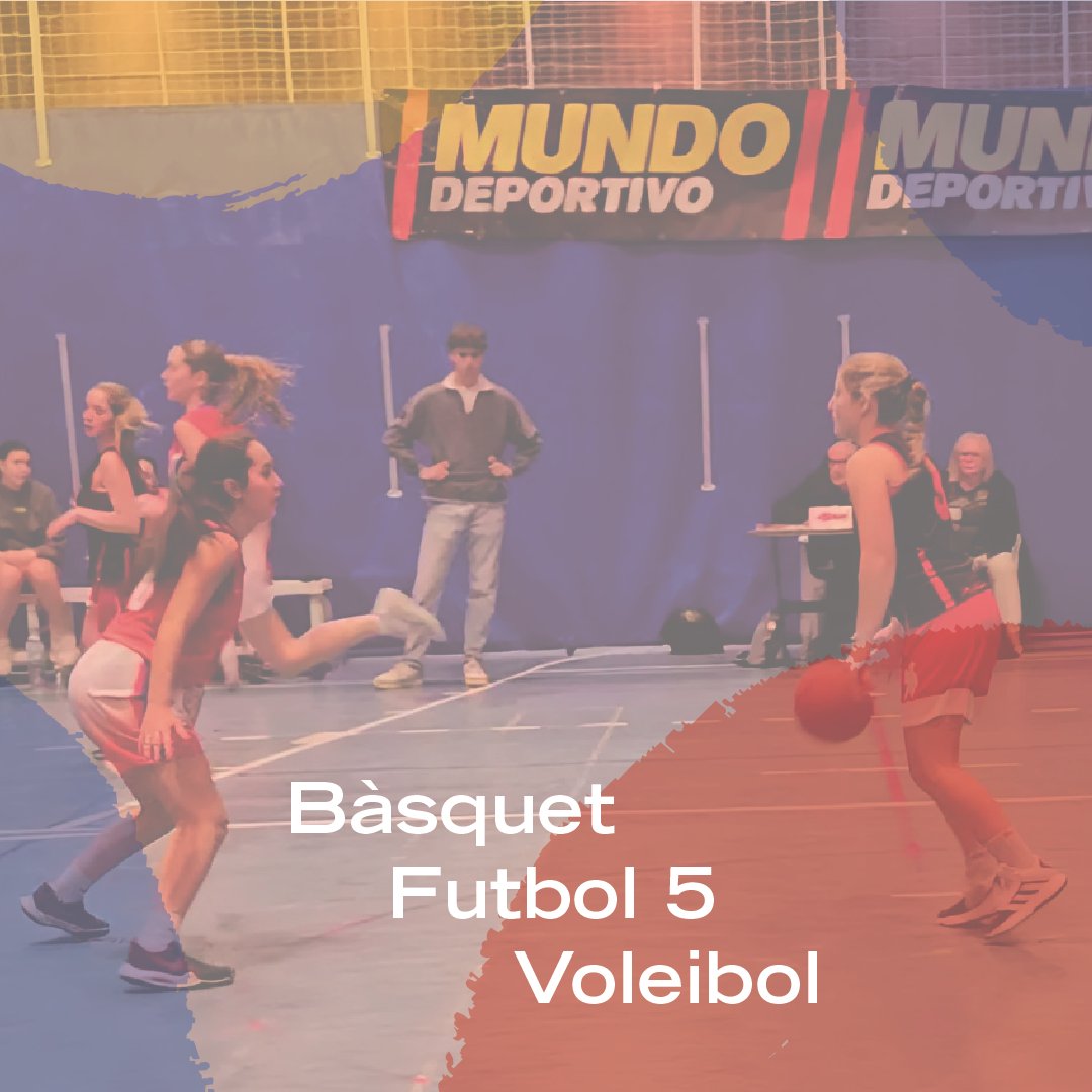 El Consell tweet media