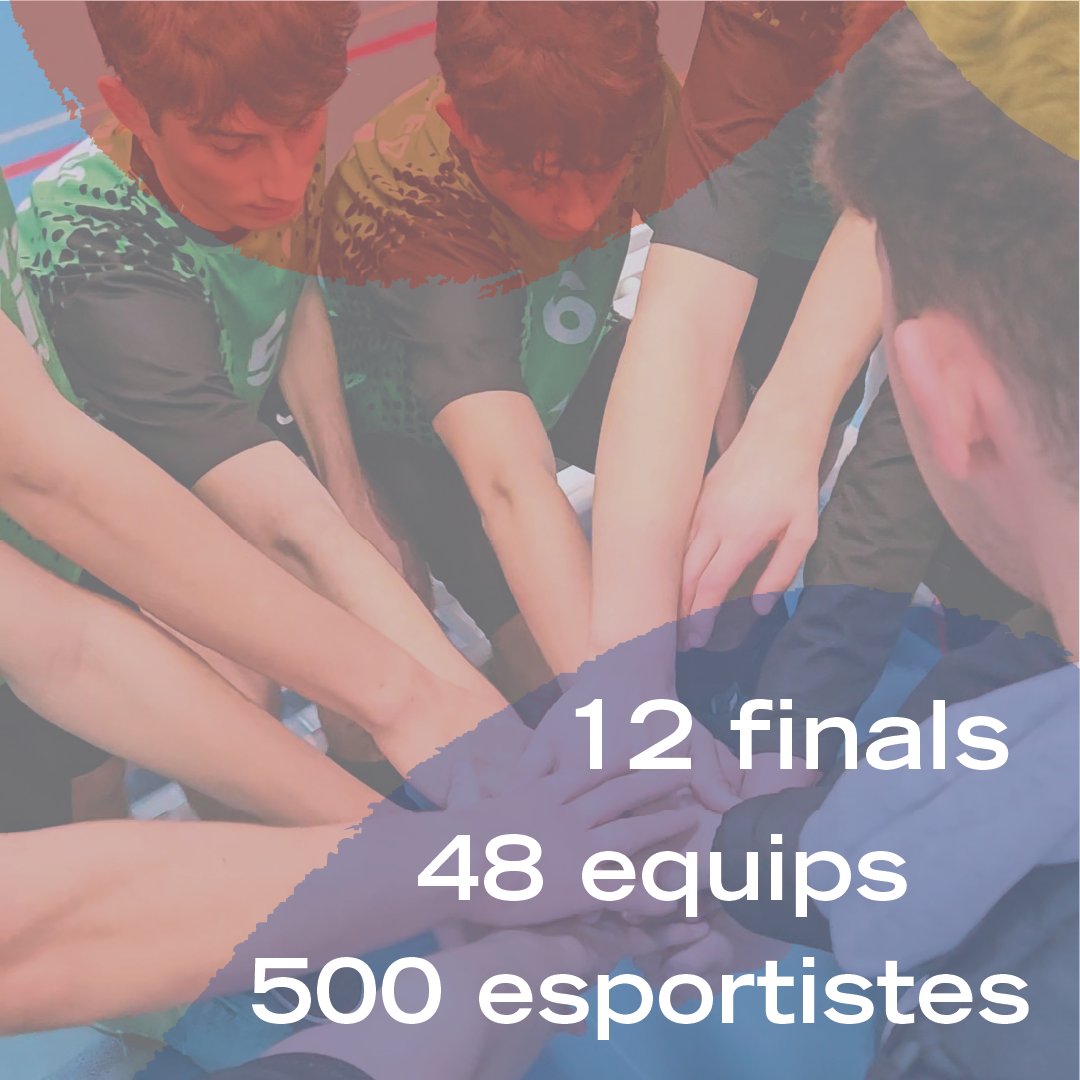 El Consell tweet media