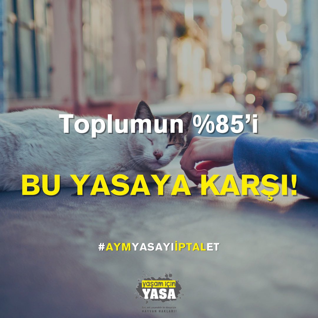 Sokakları birlikte paylaştığımız hayvanların toplanıp tecrit edilmesine, ömür boyu hapsedilmesine ve öldürülmesine toplumun %85’i karşı.

Bu yasa derhal iptal edilmelidir.

<a href="/AYMBASKANLIGI/">Anayasa Mahkemesi</a> 

#AymYasayıİptalEt