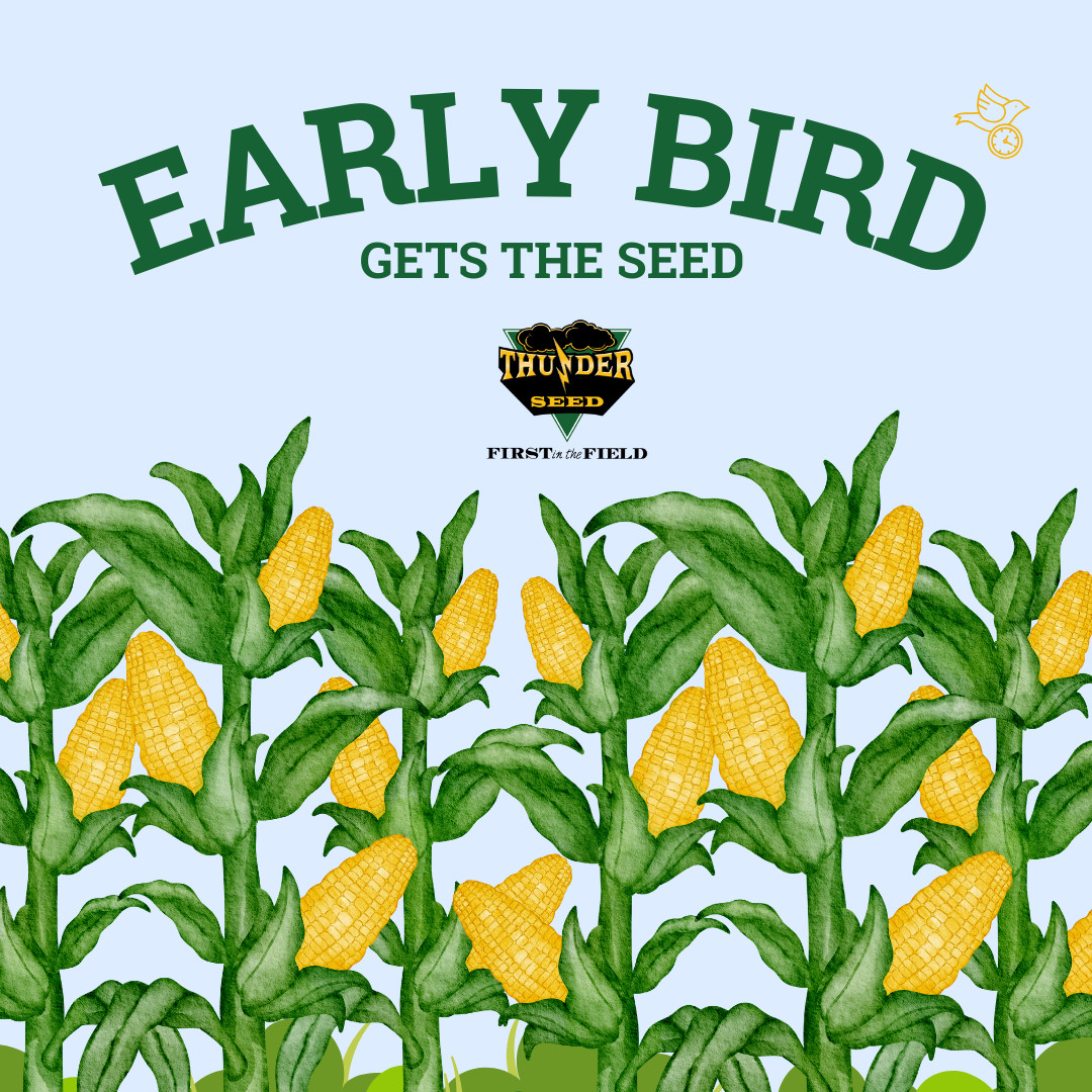 Thunder Seed tweet media