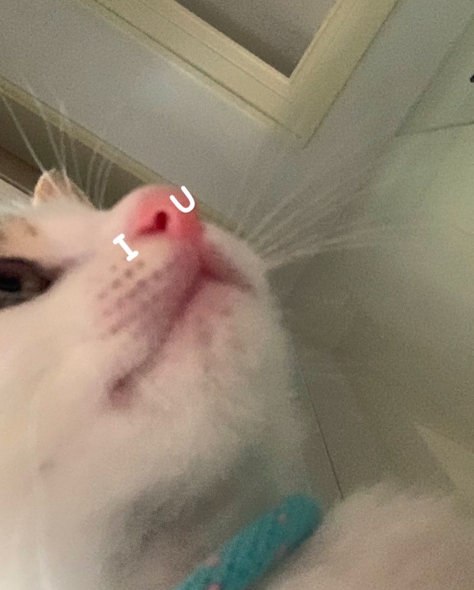 Engellly's tweet photo. 👹♥︎ https://t.co/AcbUYRr8DK