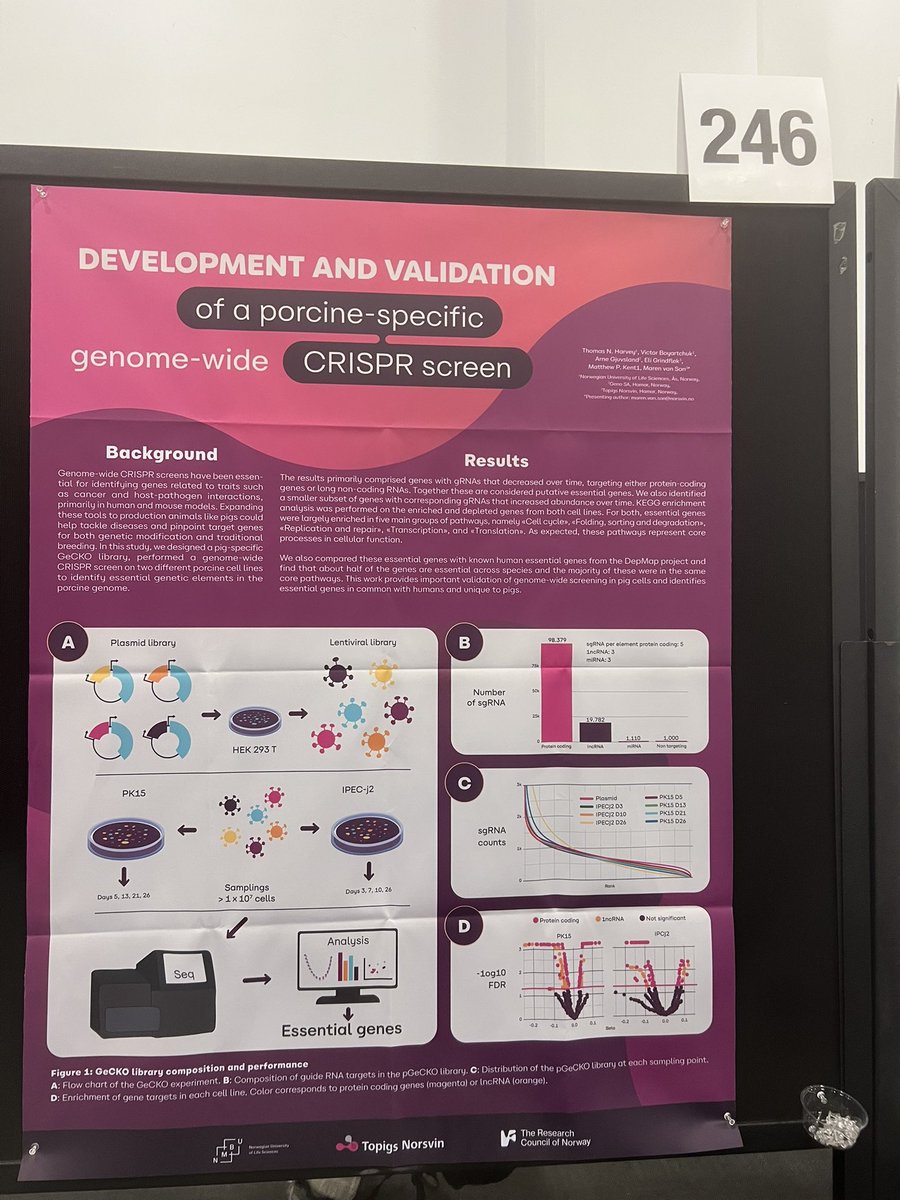 Maren van Son tweet media