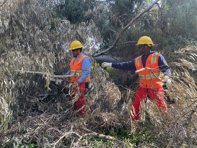 High Wind &amp; Red Flag Warning in Effect This Week

The National Weather Service (NWS) has issued a high wind and red flag warning starting today at 4 p.m. and lasting through Wednesday at 6 p.m. Expect gusty winds, elevated fire risk, and the potential for downed trees and power