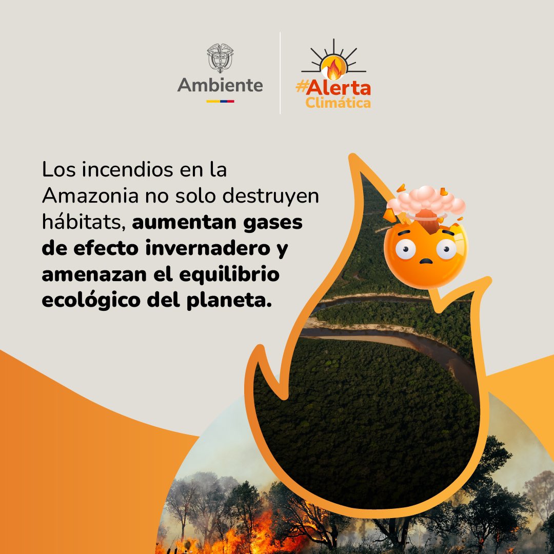 La Amazonia cubre el 23,3% del territorio colombiano y alberga más del 10% de la biodiversidad mundial. 🌳🔥 ¡No dejemos que los incendios forestales acaben con nuestra riqueza natural! #AlertaClimática