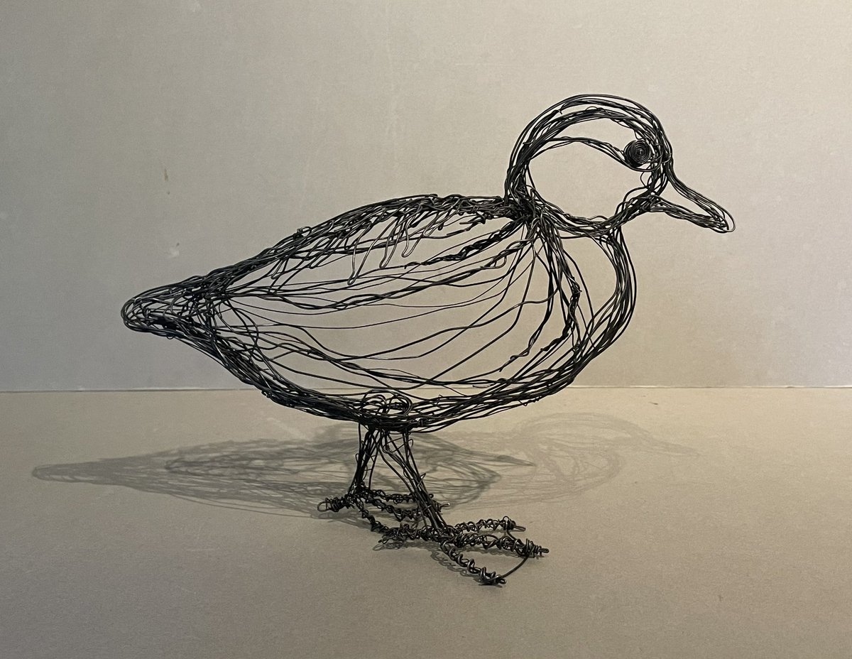 PaulGreenWire's tweet image. This is the Teal Sculpture I started last week at Minsmere. I used only recycled Iron Wire.I love these simple “sketch Type “ Sculptures from Life. #birdart #wireart #freehandartist #teal #suffolkartist