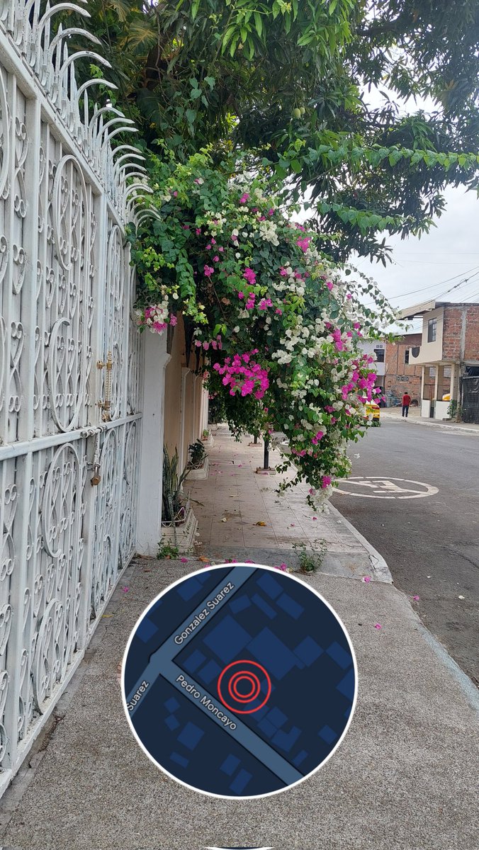 MarcoGilerM's tweet photo. #Atención Trabajo para #Portoparques.
Cualquier obstáculo que impida la libre circulación de los peatones debe ser retirado, aunque se vea bonito.
@PortoviejoGAD https://t.co/GHsdwqi9S6