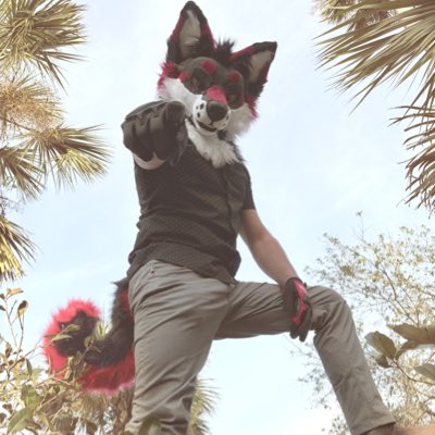 #NewProfilePic
Had to brighten it up a bit 😅