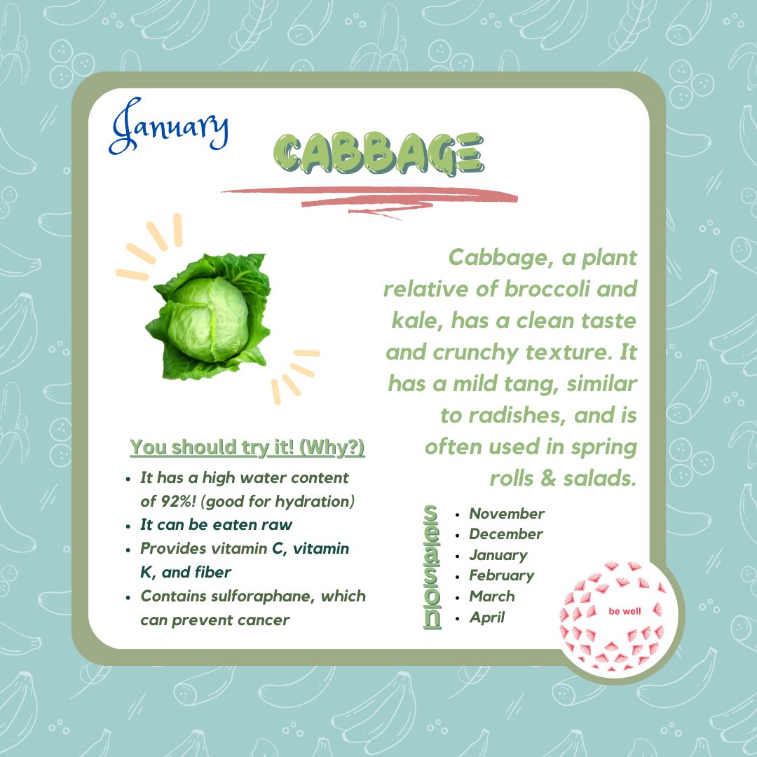 SFUSDBeWell's tweet photo. Welcome to the cabbage family! 🥬🥦
A plant relative of broccoli and kale, has a clean taste and crunchy texture. It has a mild tang, similar to radishes.Brassica vegetables contain Glucosinolates which help to fight cancer! 

#BeWell #WeAreSFUSD #HarvestoftheMonth #HOTM #Cabbage https://t.co/7PjGWgmOO7