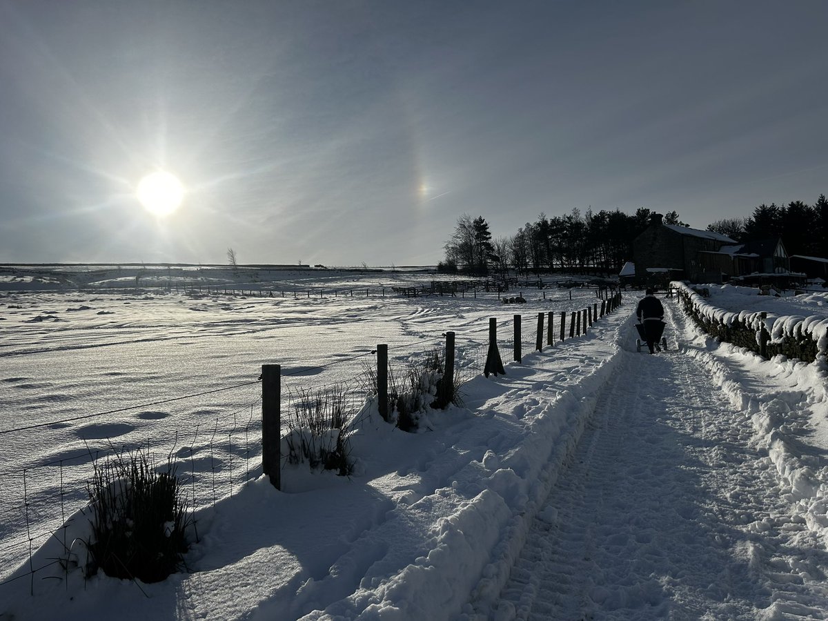 Amy Roberts tweet media