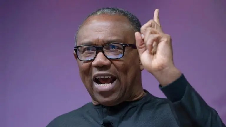 “If you must be called your excellency, the means through which you got into the office must be excellent.”  — Peter Obi