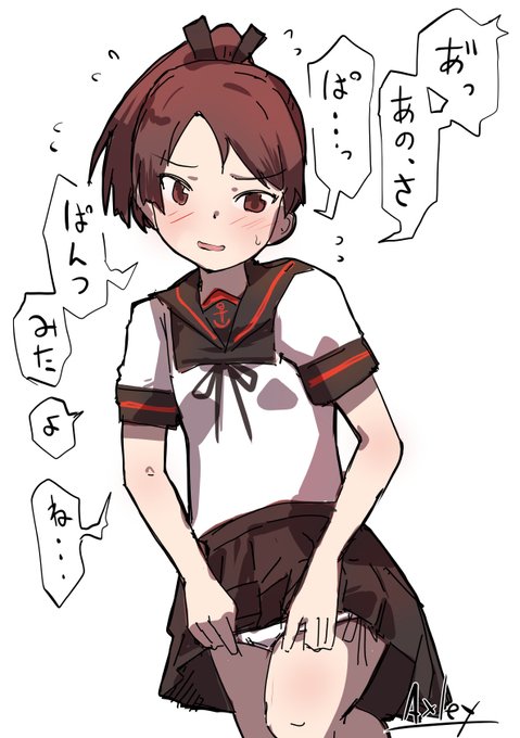 シキナミン補給用 