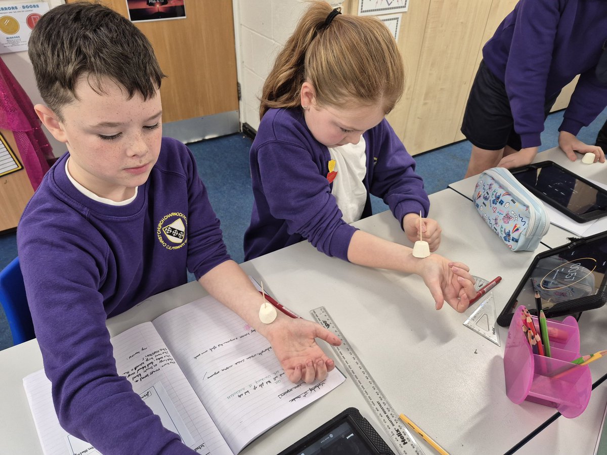CCCRPrimary's tweet photo. Ask year 6 how marshmallows can be used to measure heart rate! β€οΈπ ##cccrscience https://t.co/ISLTHbU279