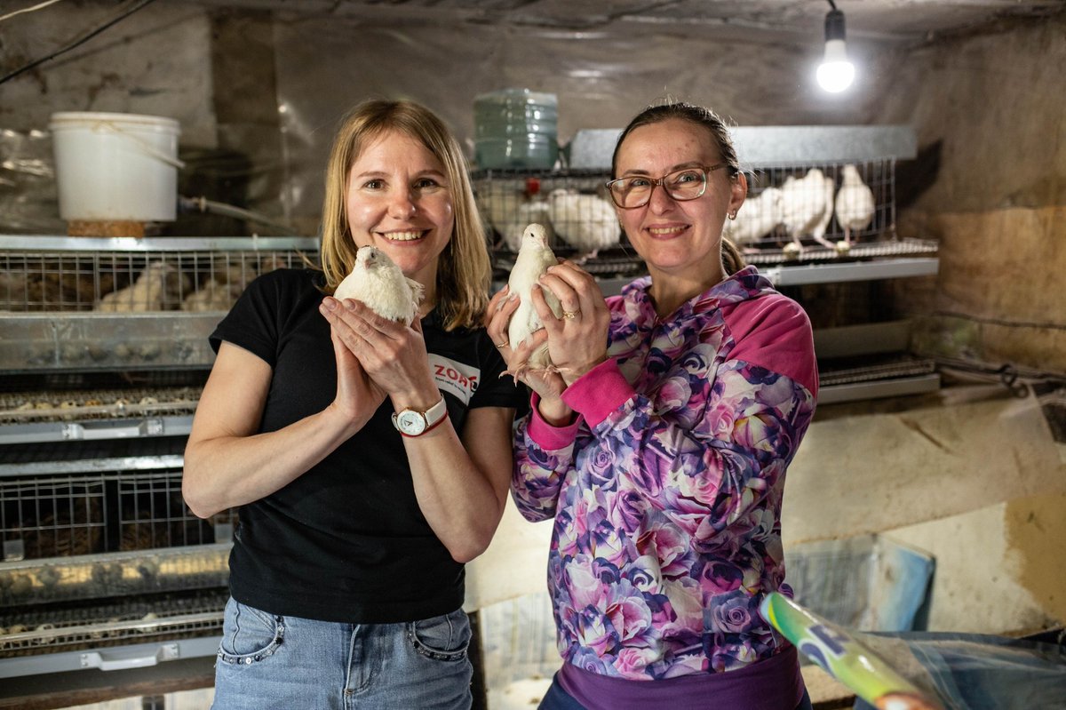 Lisa Doughten (@lisa_doughten) on Twitter photo Valentyna farms quails to support her son’s health.
When war began, hope seemed lost. But with support from <a href="/ZOA_nl/">ZOA Netherlands</a> & the #UkraineHumanitarianFund, her farm grew from 50 to 150 birds, now producing 1,500 eggs monthly.
With the right support, hope can thrive.
#InvestInHumanity Valentyna farms quails to support her son’s health.
When war began, hope seemed lost. But with support from <a href="/ZOA_nl/">ZOA Netherlands</a> & the #UkraineHumanitarianFund, her farm grew from 50 to 150 birds, now producing 1,500 eggs monthly.
With the right support, hope can thrive.
#InvestInHumanity