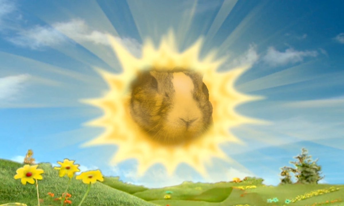 Good morning OolongFam! 🐰🌞
*Late start :3*

Rise, shine, and stay balanced—just like Oolong would 🚀