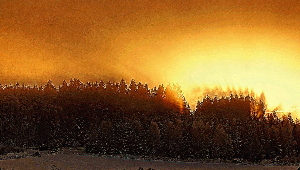 #nature #NaturePhotography #NaturistLifestyle #naturelovers #pictures  #PictureBooks 

If you truly love nature, you will find beauty everywhere.📸🌅🌲