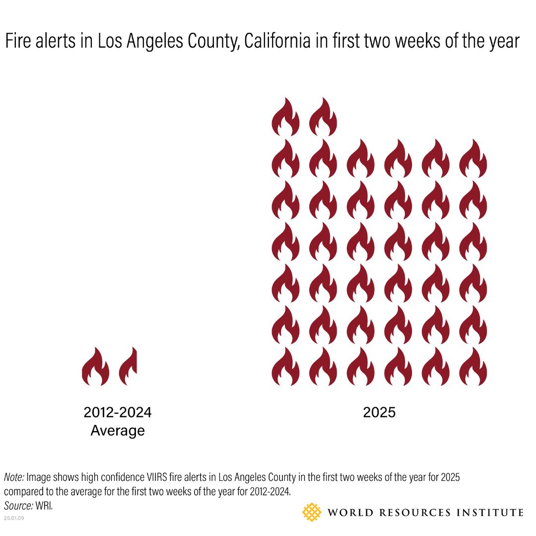 WRI Food (@wrifood) on Twitter photo CA is no stranger to wildfires, but 2025 is already an outlier.
The #PalisadesFire is the most destructive in LA's history. Record-breaking heat and a severe lack of rain have fueled rapid fire spread.
<a href="/globalforests/">Global Forest Watch</a> explains these changing trends: bit.ly/40ddqgf CA is no stranger to wildfires, but 2025 is already an outlier.
The #PalisadesFire is the most destructive in LA's history. Record-breaking heat and a severe lack of rain have fueled rapid fire spread.
<a href="/globalforests/">Global Forest Watch</a> explains these changing trends: bit.ly/40ddqgf