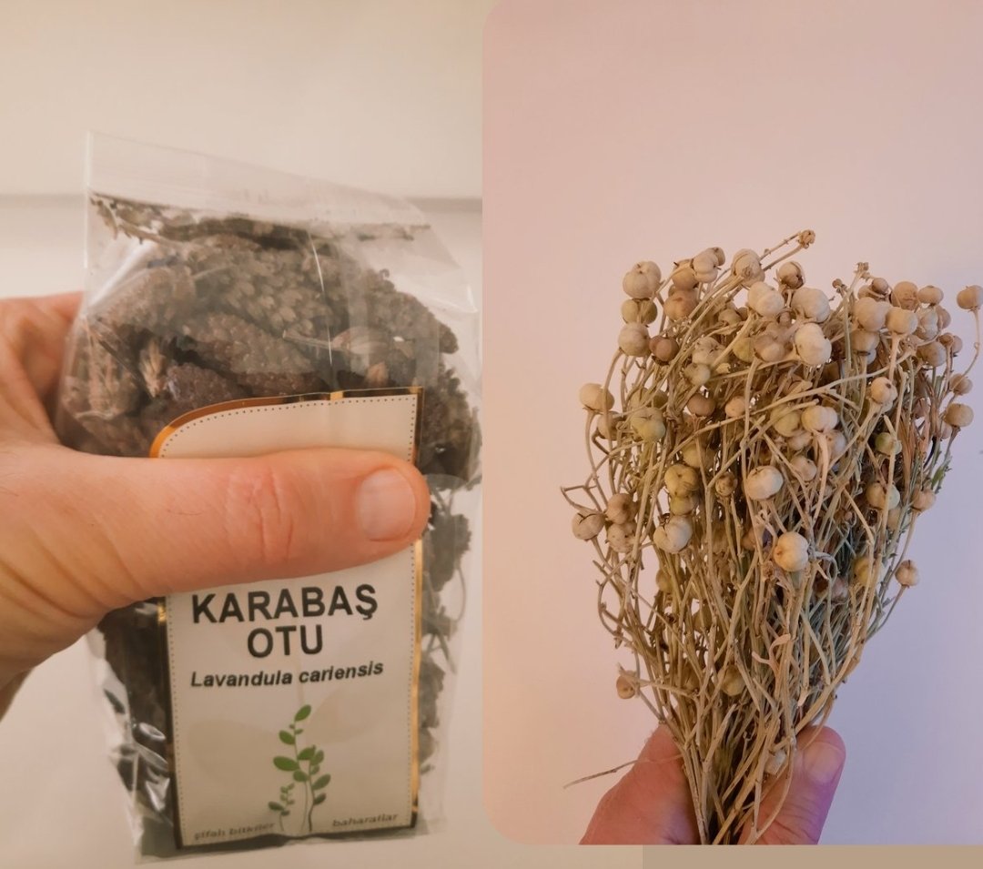 #Grip ve #nezle gibi viral enfeksiyonlar sonrası tad ve koku kaybı olabiliyor

#Tat kaybı için en etkili bitki #karabaş otudur.
Karabaş otu çayı içerek tat reseptörleri aktive edilebilir.
(3 adet karabaş otunu bir bardak suda 7-8 dk kaynatın ılıyınca süzün.
(Akşam yemeğinden 2