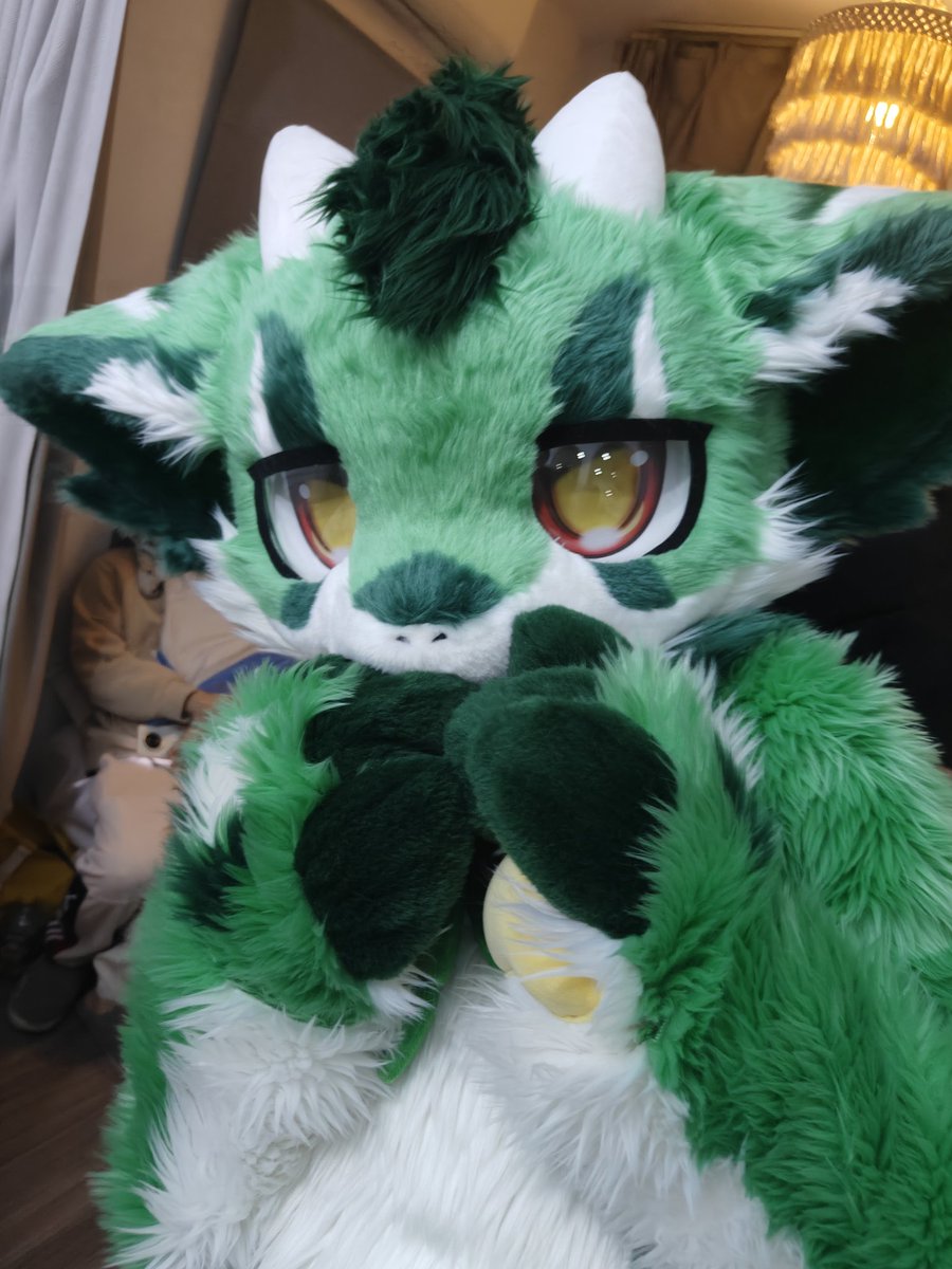 出毛真的是一件很棒的事w～