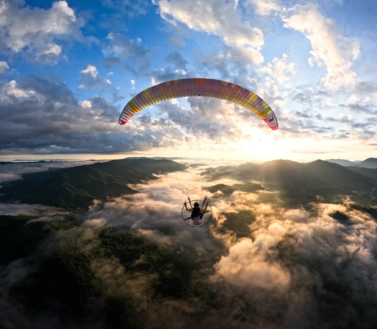 GoPro tweet media