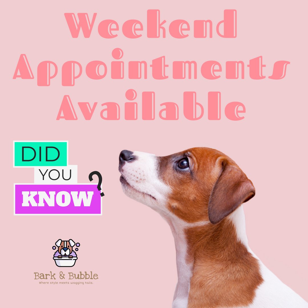 Exciting news! We are now offering weekend appointments to better serve you. Check us out online to see our availability and book your spot today. Your convenience is our priority! #WeekendAppointments #BookNow #CustomerCare #ServiceExcellence #Convenience