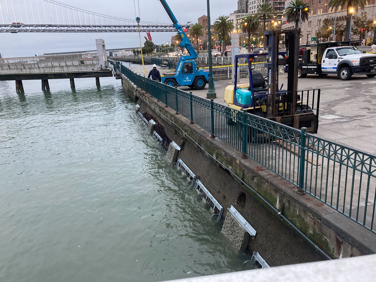 SERCinvasions's tweet photo. #ProjectDeepDive The Living Seawall Project is an innovative study led by @SFPort &amp; @SERCinvasions testing &amp; evaluating engineering with nature concepts from around the world to learn how we can make SF's seawalls more ecologically friendly in the future. https://t.co/ESXcmi1qiE https://t.co/hoosGTkCsN