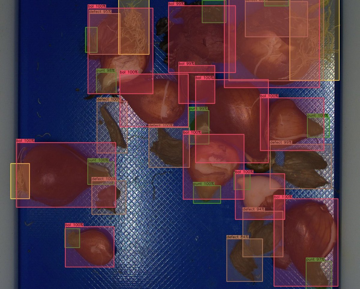 Vanaf morgen staan we weer op de Mechanisatie-Tentoonstelling Bollenstreek in Vijfhuizen

Dit jaar komen we opdraven met 4 nieuwe machines. 1 hiervan willen we graag uitlichten 

𝗢𝗽𝘁𝗶𝘀𝗰𝗵𝗲 𝗣𝗲𝗹𝗹𝗲𝗿
Deze machine is in samenwerking met 5 telers en AgriDokter ontwikkeld.