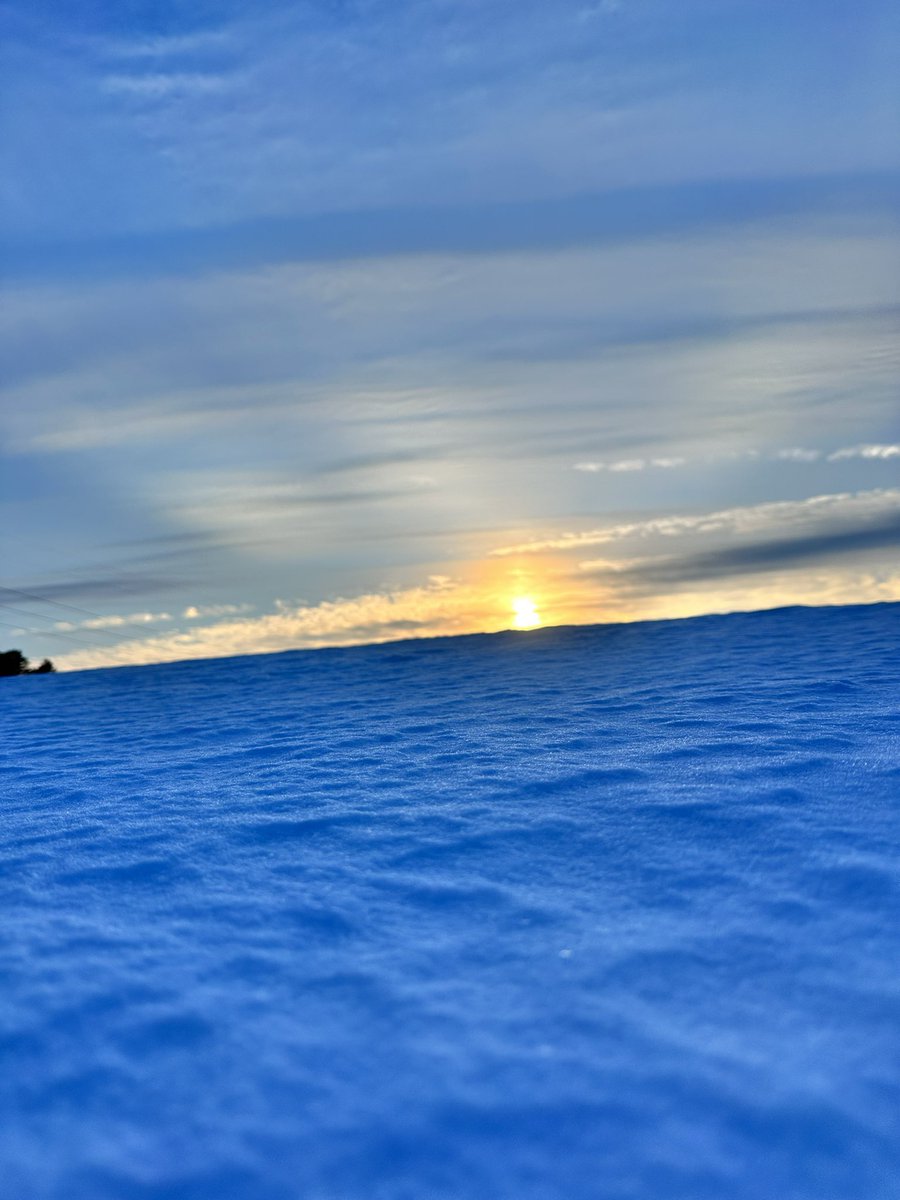 WarriorsPathGC tweet media