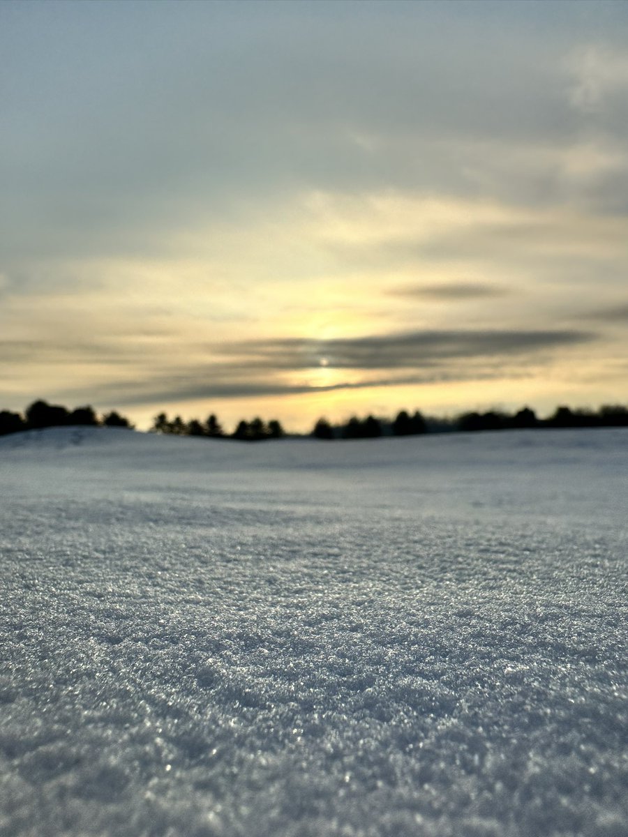 WarriorsPathGC tweet media