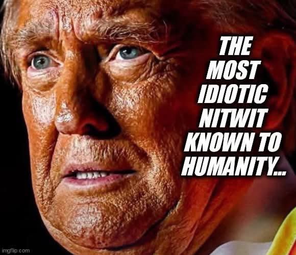 the_druid_dude's tweet photo. @nickberoxbe1989 @krassenstein @JenniferPelti16 https://t.co/gl9do8W0pw