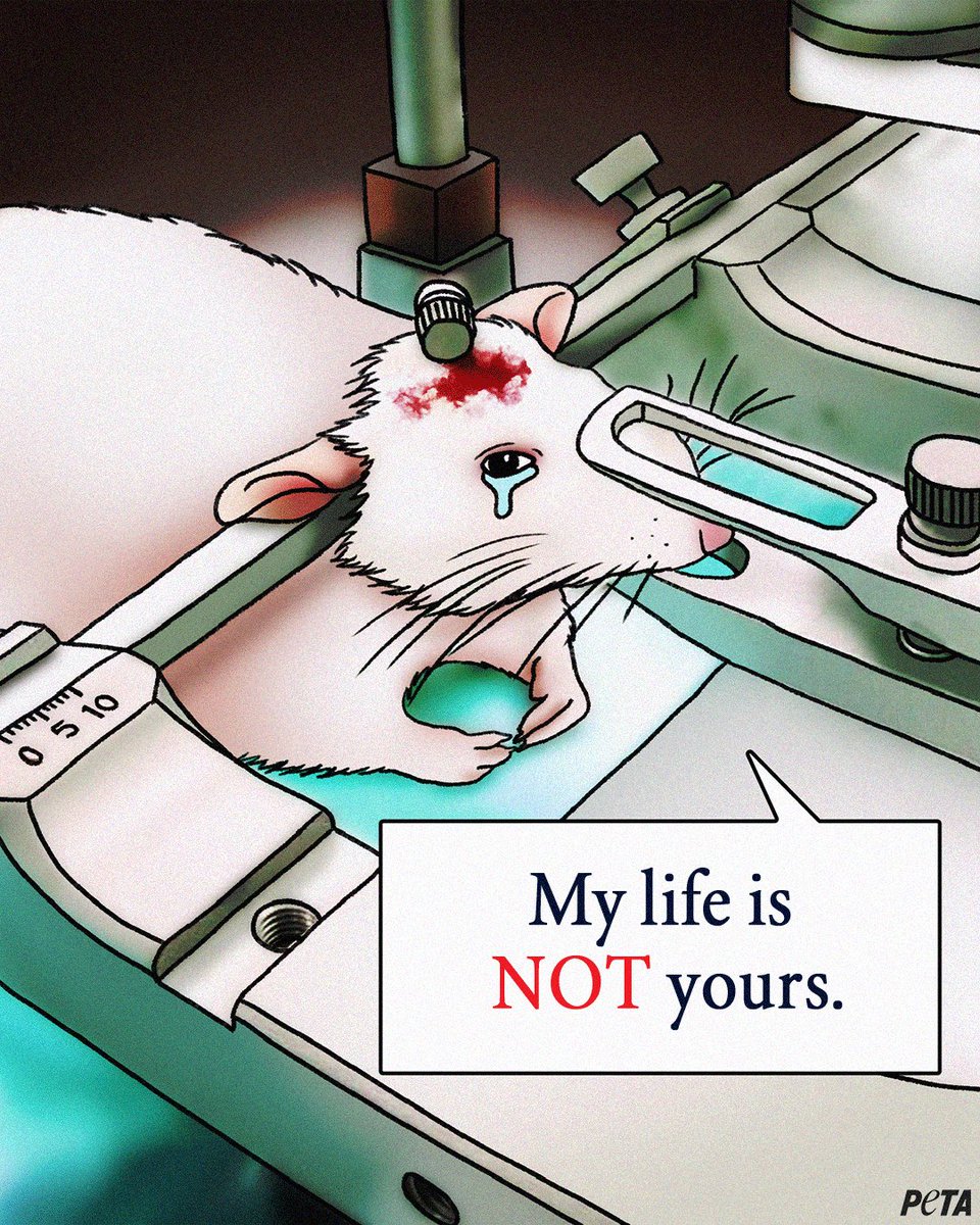 Science DOES NOT require taking someone else’s life.