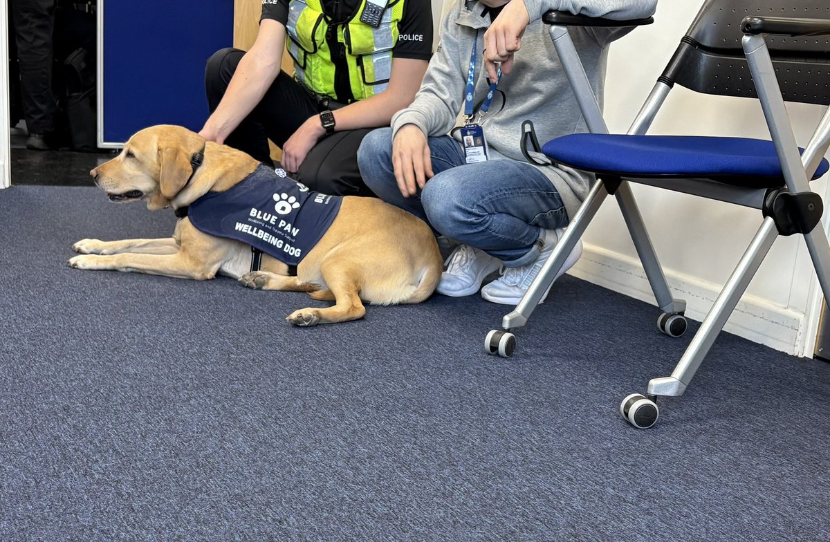 BluepawWB's tweet photo. Blue Paw had a great session @BTP Finsbury Park today, providing support to the officers with BTP Wellbeing Team. The presence of Holly being a comforting addition to the discussions on trauma, creating a relaxed atmosphere for those involved. @CotswoldLadyB https://t.co/6Ya4EHZg4c
