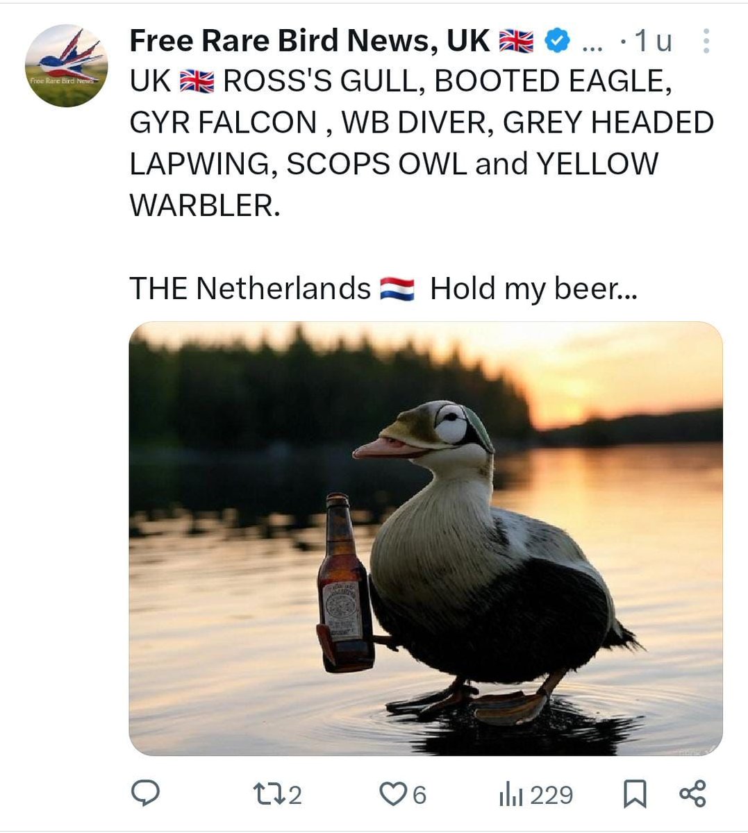 Marc Plomp tweet media
