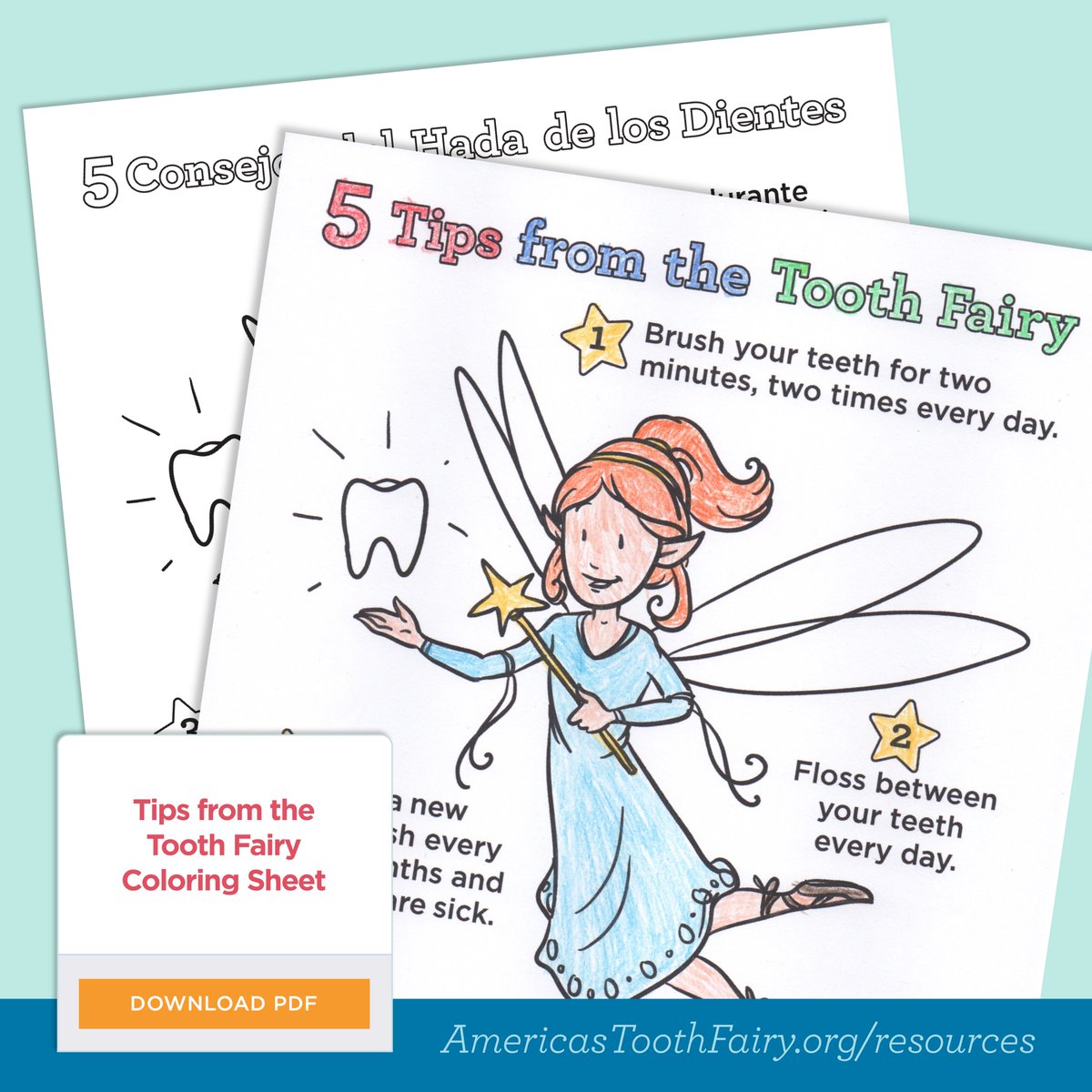 AmerToothfairy's tweet photo. Be ready for #NationalChildrensDentalHealthMonth with our fun, multilingual resources that reinforce the simple concepts kids need to prevent dental disease.
⭐️ Click the 📚 Get Education Resources link in our bio to see to download and subscribe. ⭐️
#teacherlife #educationtool https://t.co/BAAcAkv9lG