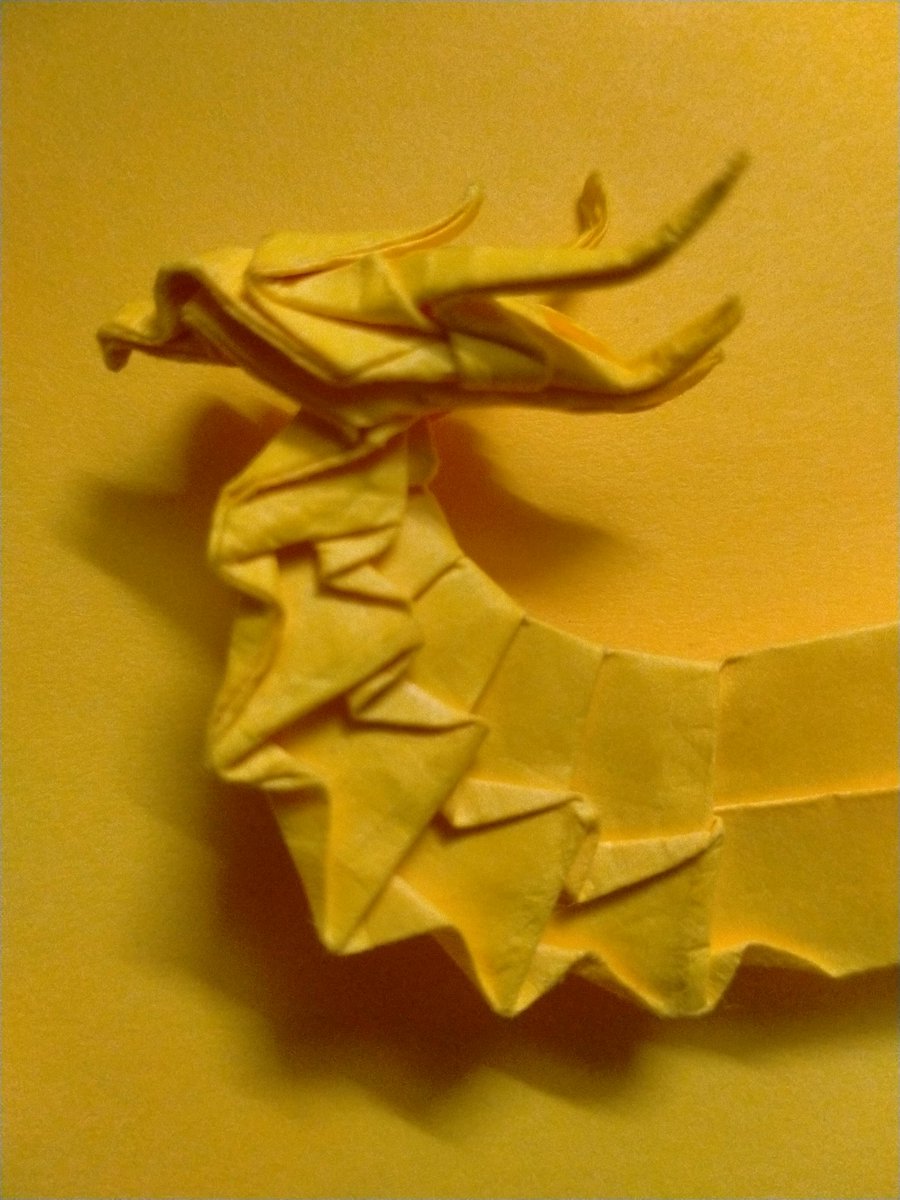 phoenix66551's tweet photo. Phoenix in progress
Model by-Lien Quoc
One of my favourite ones
#origami #origamibird https://t.co/8ObWpLay3D