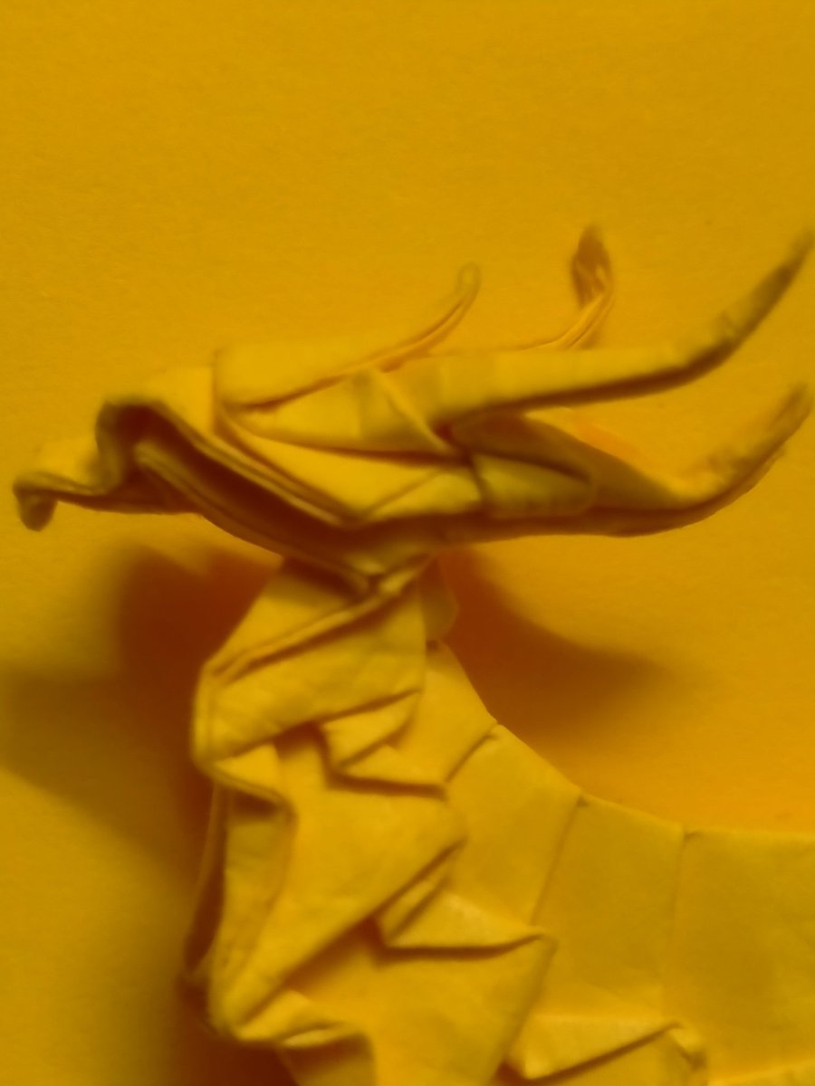 phoenix66551's tweet photo. Phoenix in progress
Model by-Lien Quoc
One of my favourite ones
#origami #origamibird https://t.co/8ObWpLay3D
