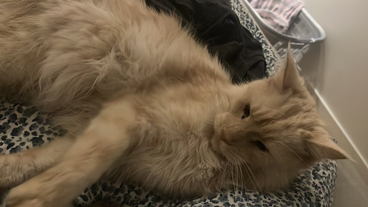 Goeieavond ❤️❤️❤️