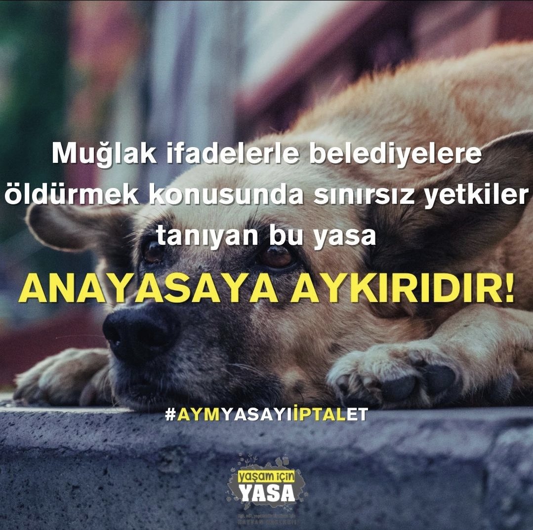 CcCmasal's tweet photo. #AymYasayıİptalEt @AYMBASKANLIGI https://t.co/rAn2rS4Q83
