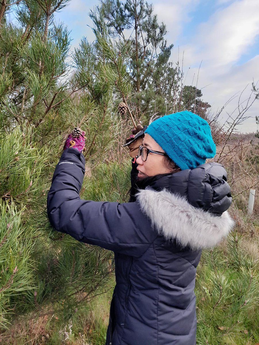 Green Angels - the Land Trust tweet media