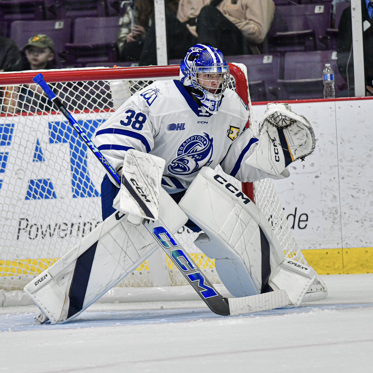 Brampton Steelheads tweet media