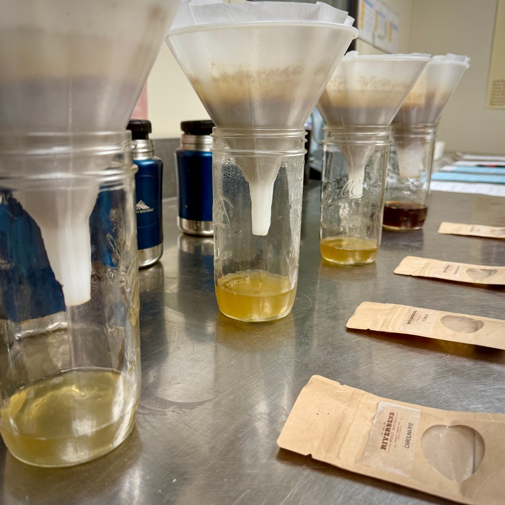 It's #MaltSensoryMonday and 𝑹𝒚𝒆 𝑱𝒂𝒏𝒖𝒂𝒓𝒚 too!

Meet our Rye malts! l8r.it/4SN6

🌾 Carolina Rye 
🌾 Munich Rye
🌾 Flo-Rye-Da 
🌾 Seashore Black Rye

#ryejanuary #ryenotdry