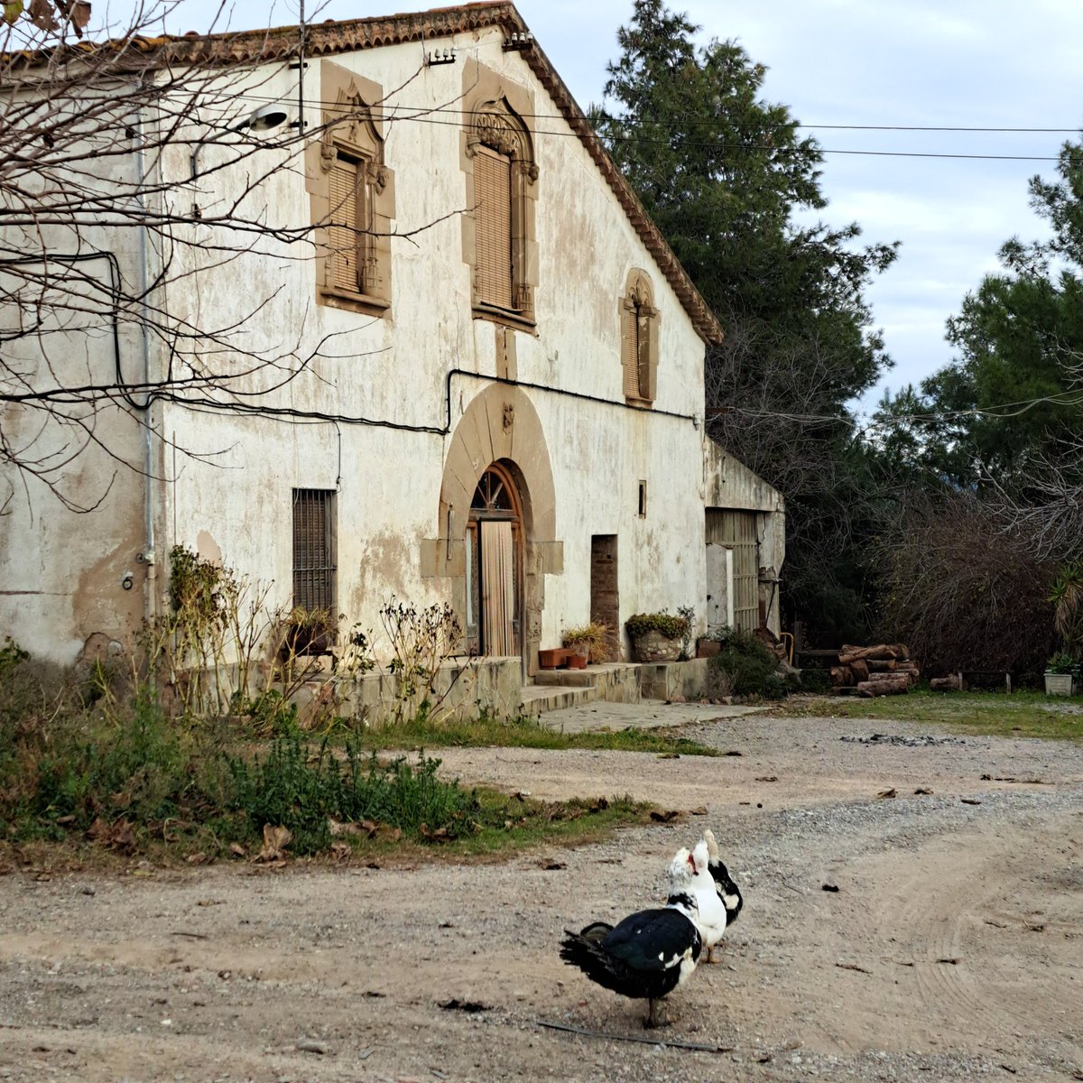 Segons tradició familiar, fa anys l'àvia d'aquesta masia va quedar vídua, fet que va suposar un sotrac per l'economia del mas. 

(1/4)