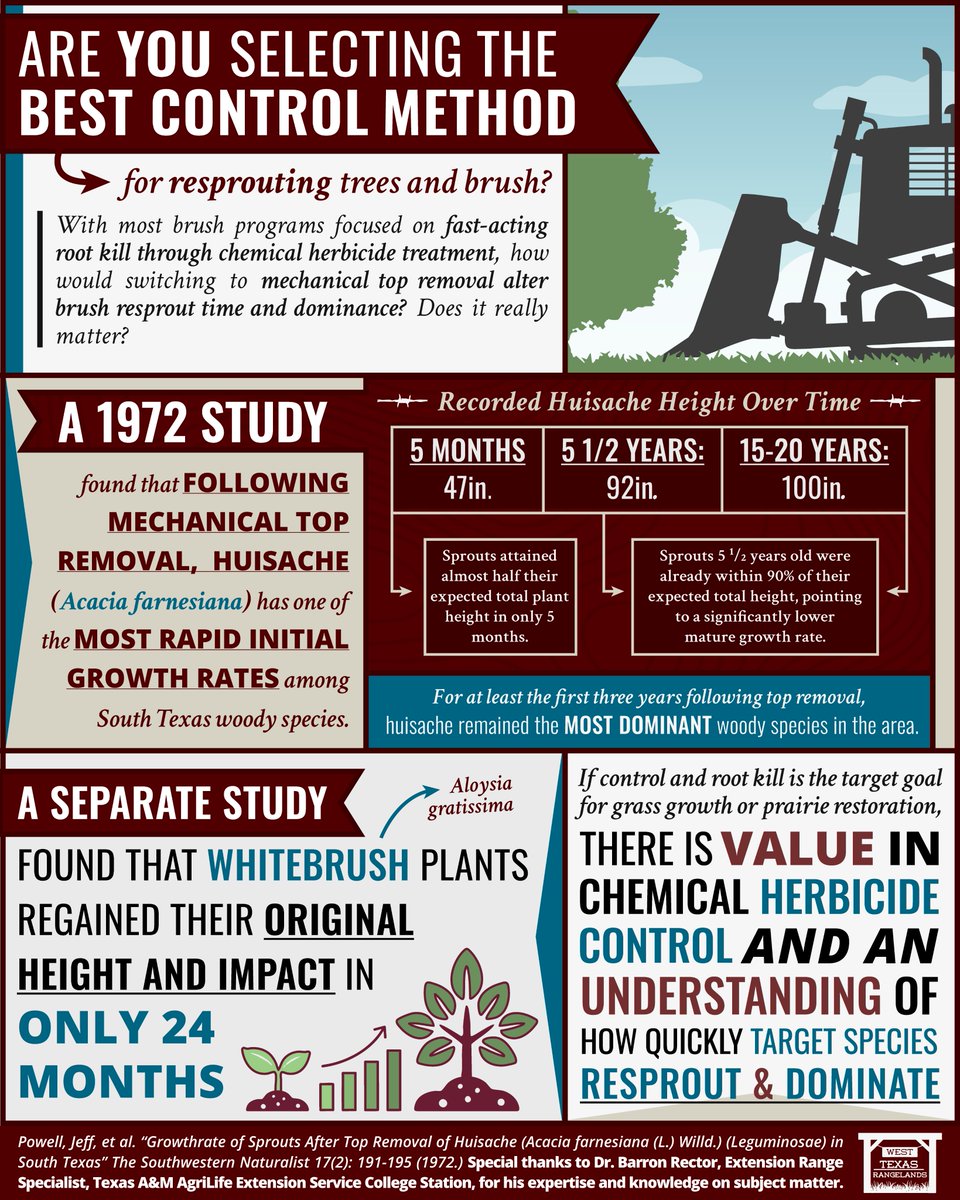 motreadwell's tweet photo. Selecting the best control method for resprouting trees and brush is crucial. Special thanks to Barron Rector for sharing his knowledge on this topic. Sign up for the latest West Texas Rangelands blog at: https://t.co/FGN9rJ1cwW
#resprouting #plants https://t.co/TeAbIxrAfs