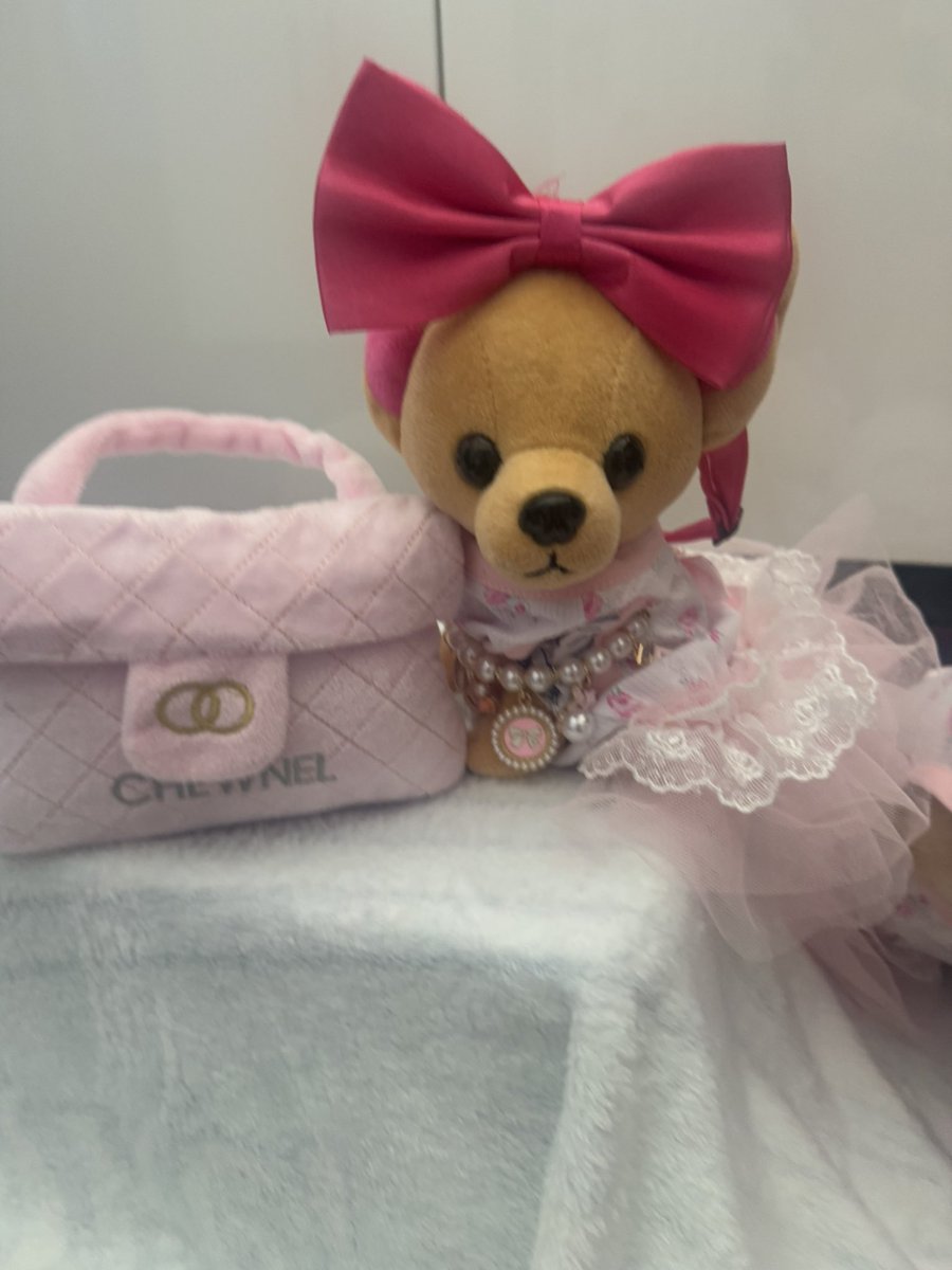 Mini_Tink_'s tweet image. It’s #chewneltuesday and wearing Pink is the perfect combination 🩷

#minitink #plushiesoftwitter #dogsoftwitter #chewnel