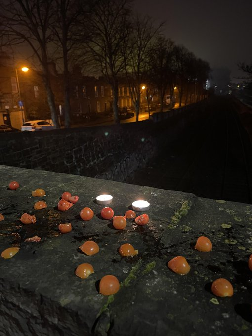 Candle Lit Dinner🍅🕯️

At The Cherry Tomato Bridge

$CTB