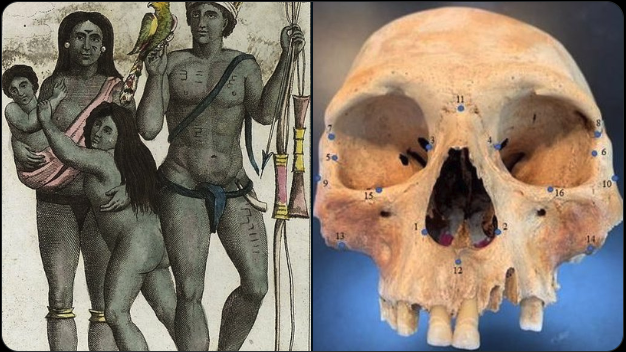 Dario_Madrid_F's tweet photo. El 13 de enero de 1493 Cristobal Colón y sus hombres tuvieron el primer enfrentamiento con los indios caribes que tenían costumbres caníbales, vamos que se comían a sus semejantes siempre que pertenecieran a otra tribu. En tiempos del descubrimiento solián los taínos. El Almirante que por entonces, y se estima que nunca cambió de idea, pensaba que había llegado a Asía los llamó "caniba" por entender que eran súbditos asiáticos del Gran Kan, palabra que acabó derivando en caribe.
Álvarez Chanca, el médico de la expedición, narró en un carta dirigida al Cabildo de Sevilla el encuentro que los españoles tuvieron con estos indios en la isla de Guadalupe el 4 de noviembre de 1493:
"Halló mucho algodón hilado e por hilar e cosas de sus mantenimiento e de todo traxo un poco; en especial traxo cuatro o cinco huesos de brazos e piernas de ombres.
Luego que aquello vimos, sospechamos que aquellas islas heran las de Caribe, que son abitadas de gente que come carne umana, porque el Almirante por señas que le avían dado del sitio destas islas, el otro camino los indios de las islas que antes avían descubierto, avía enderezado el camino por descubrirlas, porque estavan más cerca de España y también porque por allí se hacía el camino derecho para venir a la isla Española, donde antes avía dexado la gente."
“Muchas vezes salimos a tierra andando por sus moradas e pueblos que estavan a la costa, donde hallamos infinitos huesos de ombres e los cascos de las cabezas colgados por las casas a manera de vasijas para tener cosas”.
“Esta gente salta las otras islas, que traen las mugeres que pueden aver, en especial mozas y hermosas, las cuales tienen para su servicio e para tener por mancebas, e traen tantas que en cincuenta casas ellos no parecieron y de las cautivas se vinieron más de veinte mozas.
Dicen también estas mugeres que éstos usan de una crueldad que parece cosa increíble, que los hijos que en ellas han se los comen, que solamente crían los que han en sus mugeres naturales.
Los ombres que pueden aver, los que son vibos, llevánselos a sus casas para hazer canecería d´ellos y los que han muerto luego se los comen; dizen que la carne de ombre es tan buena que no ay tal cosa en el mundo, y bien parece, porque los huesos que en estas casas hallamos, todo lo que se puede roer todo lo tenían roído, que no avía en ellos sino lo que por su mucha dureza no se podía comer.
Allí se halló una casa, cociendo en una olla, un pescuezo de un ombre. Los mochachos que cautivan cortánlos el miembro e sírvense de ellos fasta que son ombres y después, cuando quieren fazer fiesta, mátanlos e cómenselos porque dizen que la carne de los mochachos e de las mugeres no es buena para comer."
¿Qué los indios caribes no eran caníbales? Lean este artículo redactado por un página habitualmente negrolegendiaria ➡️➡️ https://t.co/uF4vEQgSM4