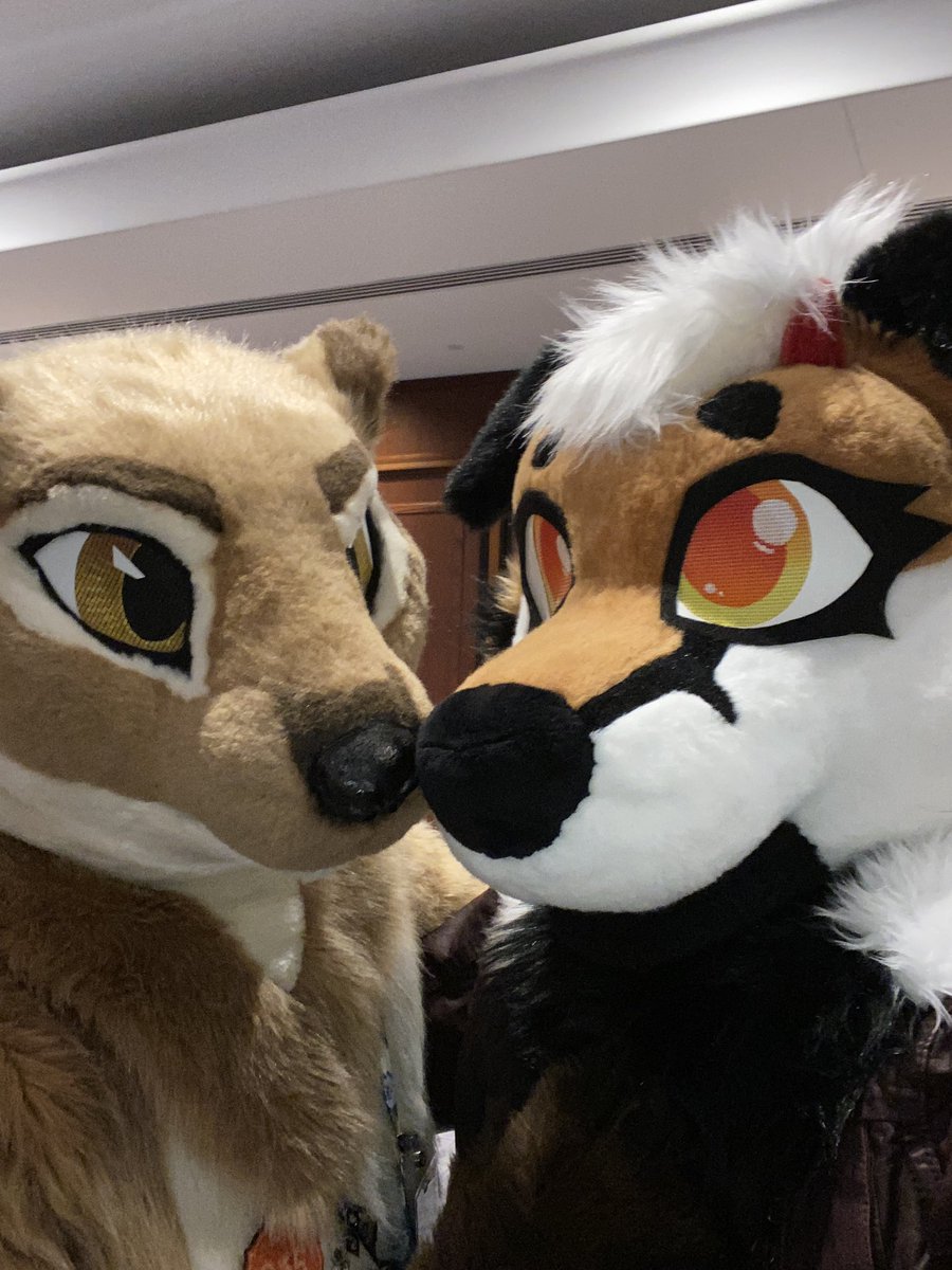 Venostrike1's tweet image. Boop! Just 2 cute beans chilling at #PDFC! 

Featuring @Kippefir 

Suit: @_Saberstudios_ 

#Fursuit #PDFC2025