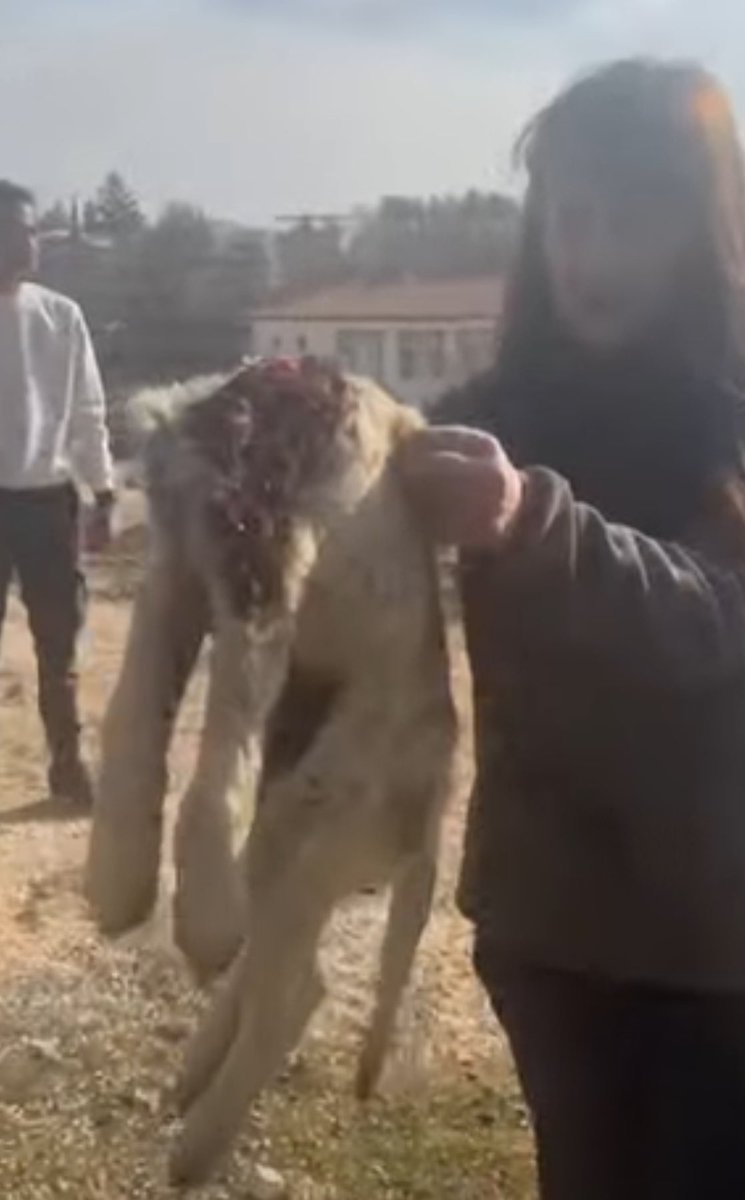 Planlayarak zulmetmek insanın ADALET sistemi DEĞİLDİR? İnsana yakışana kavuşmak İSTİYORUZ.
<a href="/AYMBASKANLIGI/">Anayasa Mahkemesi</a> 
<a href="/avoguzhankaya/">Av. Oğuzhan Kaya 🇹🇷</a> <a href="/TBMMresmi/">TBMM</a> 
#AymYasayıİptalEt 
#AdaletÇağrısı