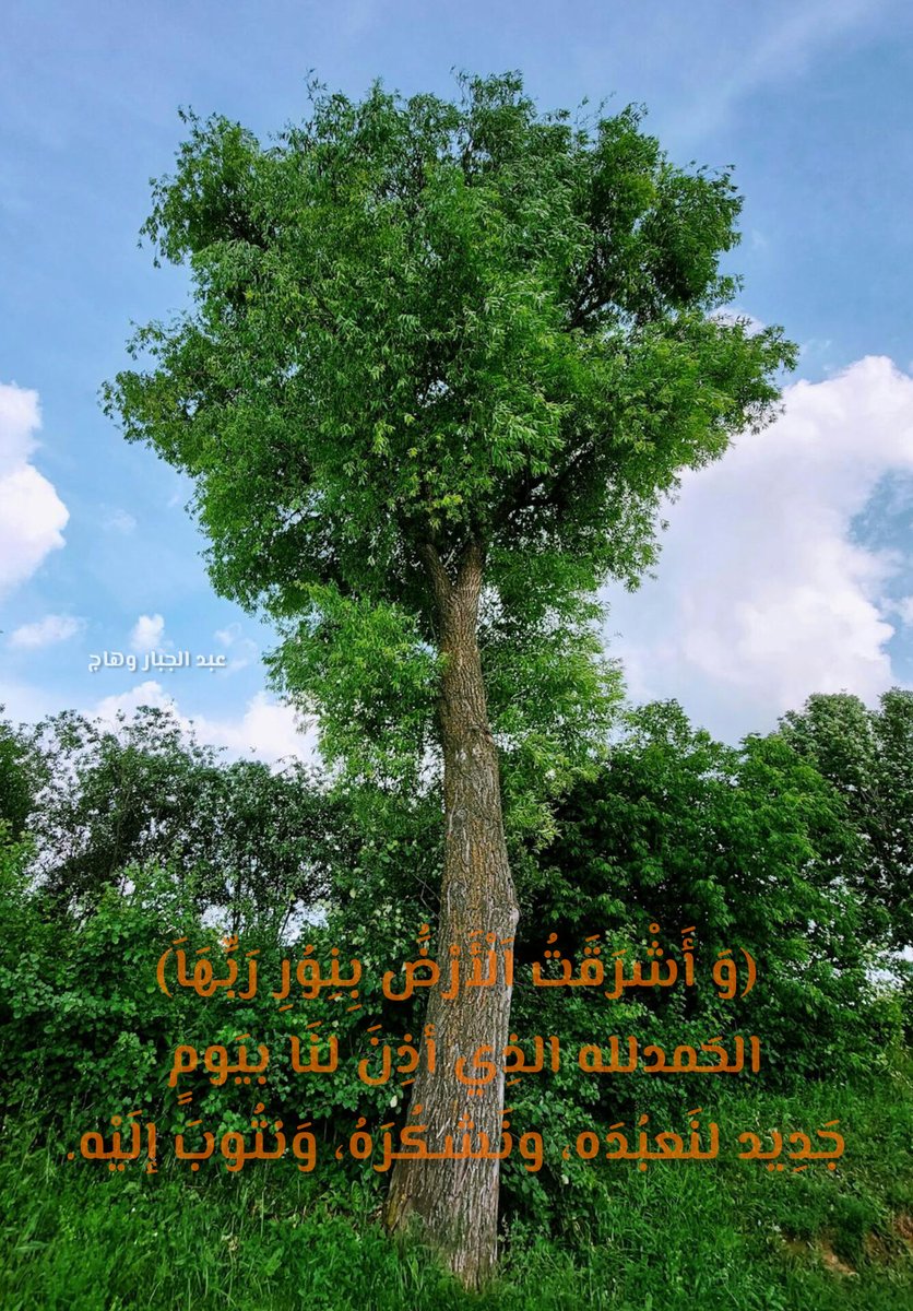 WahajOfficiel's tweet photo. ﴿وَ أَشْرَقَتُ اَلْأَرْضَُ بِنِوُرِ رَبِّهَاَ﴾

*الحَمدلله الذِي أذِنَ لنَا بيَومٍ جَدِيد لنَعبُدَه، ونَشكُرَهُ، وَنتُوبَ إلَيْه.*💎🌸 https://t.co/02JygTUk4y